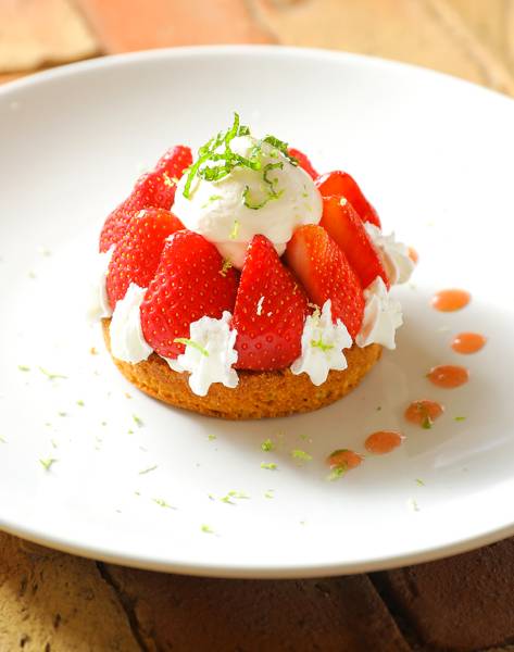 Découvrez le chef étoilé Christopher Hache et ses établissements à Eygalières